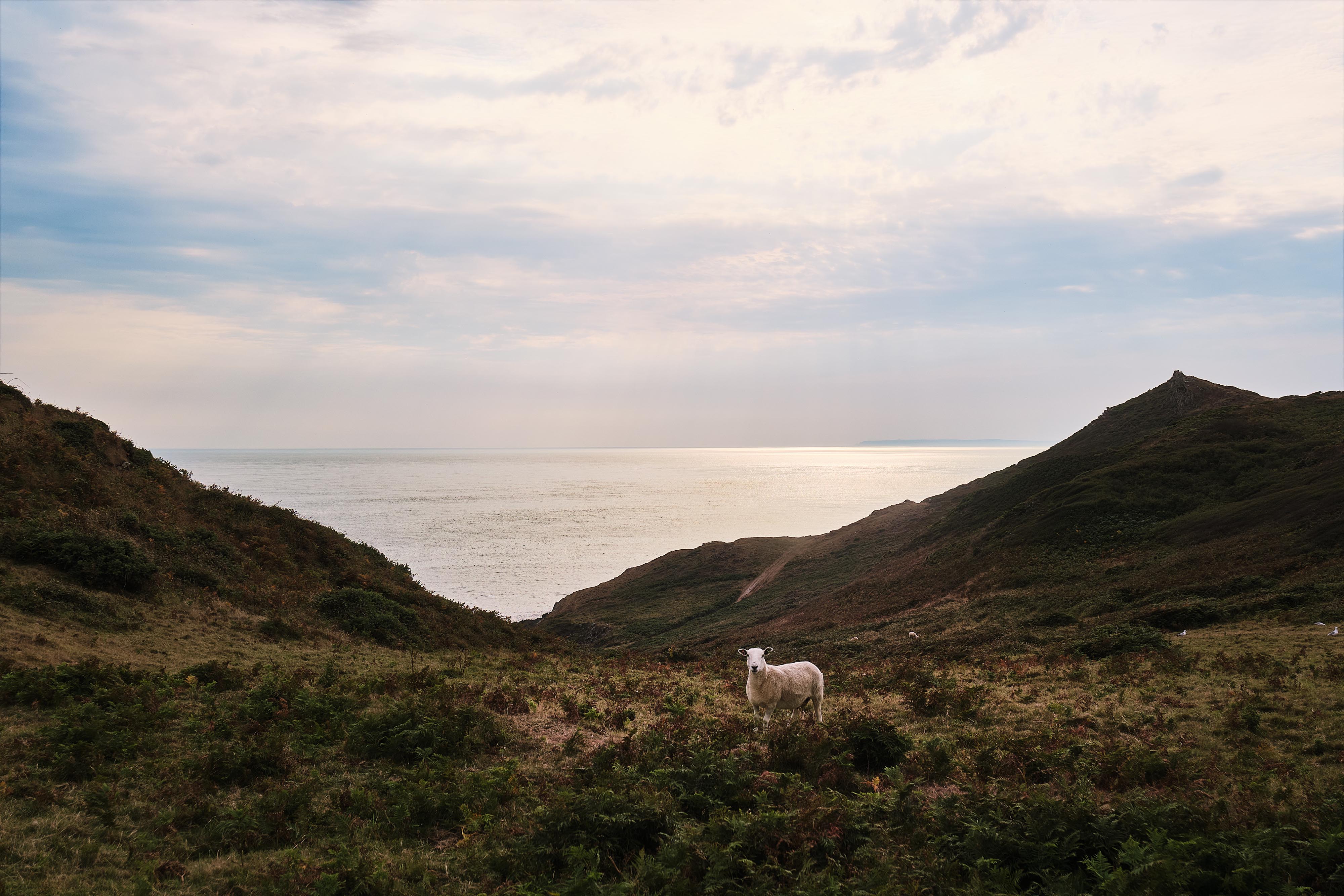 2508 Exmoor   DSCF9502